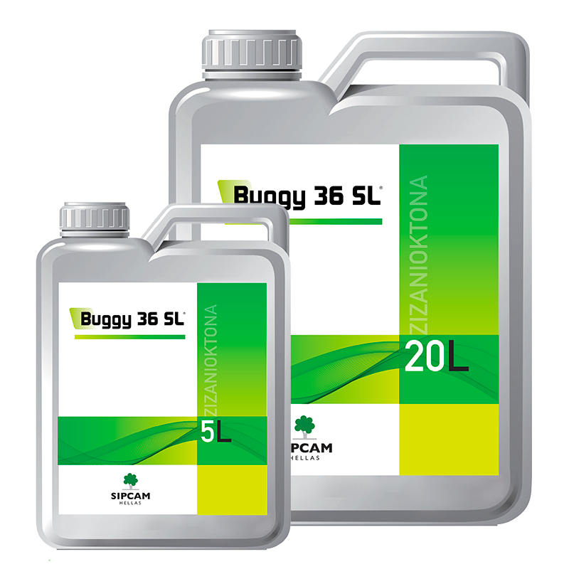 BUGGY 36 SL- Sipcam Hellas 